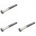 Hexagon head wood screw