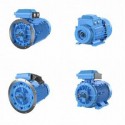 Motors for process industry M3BP