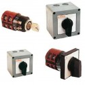 Rotary cam switches