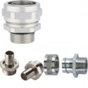 Screw connection for protective metallic hose