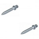 Wood screw