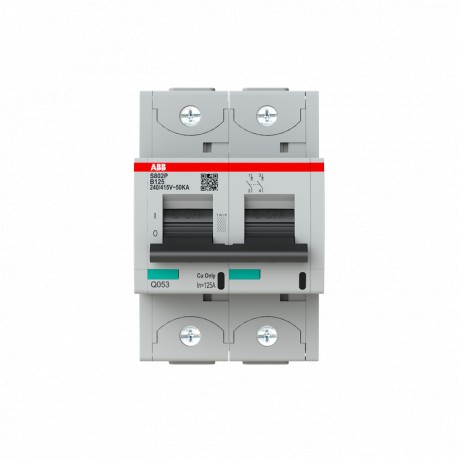 ABB 2CCG001219R0001 2CCG001219R0001 ABB Int. aut. S802P-B125 2p 125A B 50kA