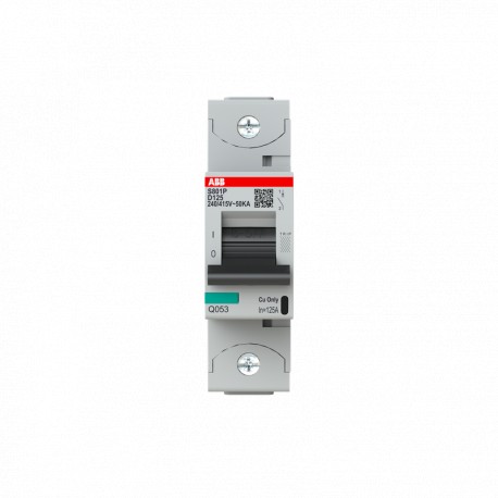 ABB 2CCG001240R0001 2CCG001240R0001 ABB Int. aut. S801P-D125 1p 125A D 50kA