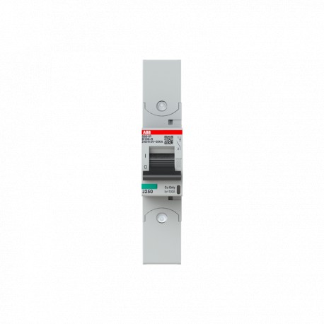 Abb 2CCG001278R0001 Int. aut. S801P-B100-R 1p 100A B 50kA