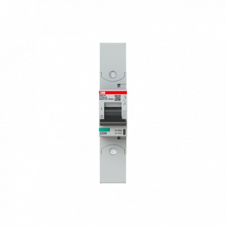 ABB 2CCG001279R0001 2CCG001279R0001 ABB Int. aut. S801P-C100-R 1p 100A C 50kA