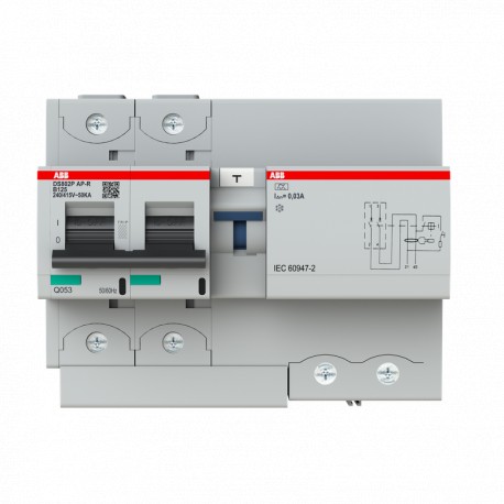Abb 2CCG001338R0001 Int. Com. DS800 2p B125 A-APR 50kA 30mA