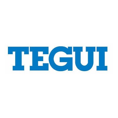 TEGUI 006102 006102 TEGUI TG/E-CASSETTE 2PUL 1COL