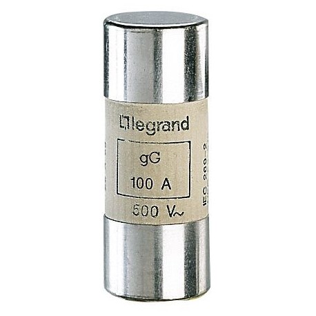 LEGRAND 015396 015396 LEGRAND FUSE CYLINDRICAL /2/100