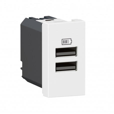 LEGRAND 077660L 077660L LEGRAND MO-2USB A+A 1M 15W BL