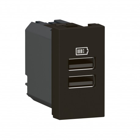 LEGRAND 077662L 077662L LEGRAND MO-2USB A+A 1M 15W NM