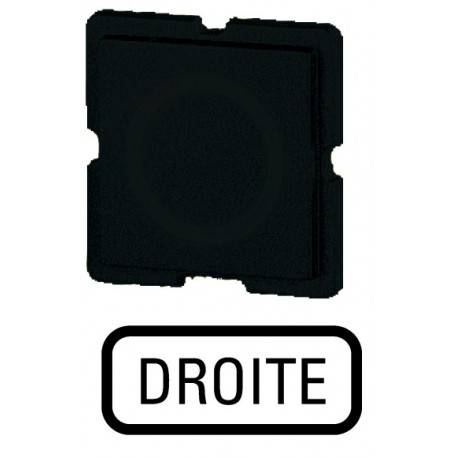 EATON - MOELLER 335TQ25 335TQ25 092594 EATON ELECTRIC Button plate, black, DROITE