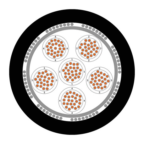 Lapp 15315003 ÖLFLEX TRAIN 315 C TW-P 300V 6X0,5 LAPP Screened multi-core cable according to EN 50306-4 3P type M..