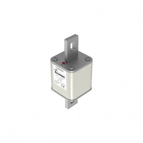 Eaton-moeller FUSE 100A 500V TP 405 AR EATON ELECTRIC Fuse-link, high speed, 100 A, AC 500 V, 55 x 55 x 140 mm, a..