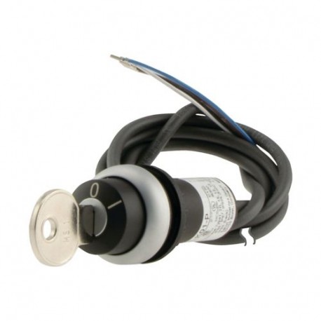 Eaton-moeller C22-WS-MS1-K20-P62 Y7-186256 EATON ELECTRIC Key-operated push-button, classic, momentary, 2 positions..