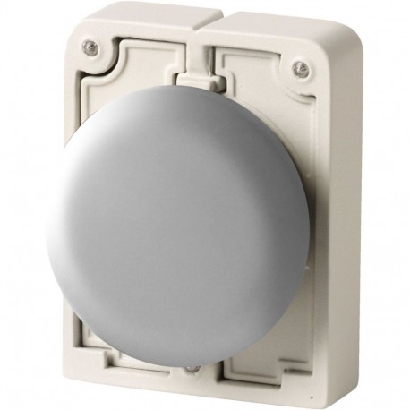 EATON - MOELLER M30I-FB M30I-FB 188107 Y7-188107 EATON ELECTRIC Blanking plug, flat front