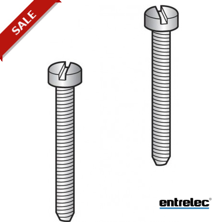 Entrelec 1SNA163432R1400 VSP12 Screws for Protective Label