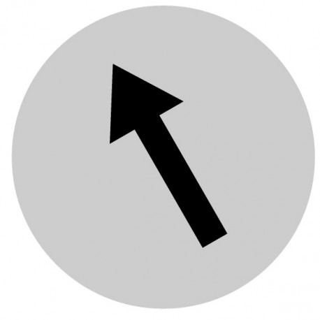 EATON - MOELLER M22-XDL-W-X8 M22-XDL-W-X8 218306 Y7-218306 EATON ELECTRIC Button lens, flat white, arrow symbol