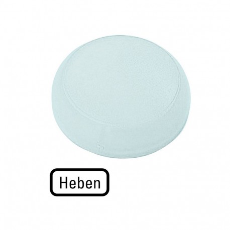 Eaton-moeller M22-XL-W-D17 Y7-218410 EATON ELECTRIC Lens, indicator light white, flush, raised