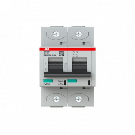 ABB 2CCG001243R0001 2CCG001243R0001 ABB Int. aut. S802P-D125 2p 125A D 50kA