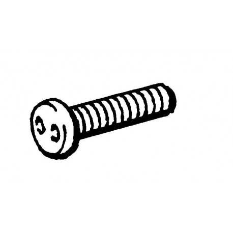 ABB TORNILLO TORNILLO 2TLA020053R4300 ABB Safety screw SM4x25, A2 Stainless steel.
