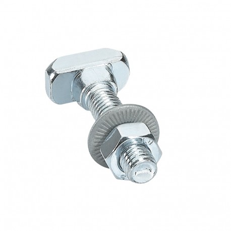 Legrand 404495 SCREW SLIDER 40MM 100U.