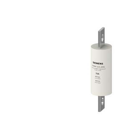 Siemens 3NW4330-2HG Class J fuse link 100 A 600 V time-lag, respect national installation rules!