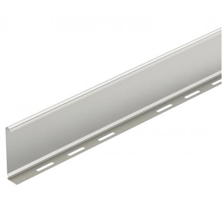Obo-bettermann TSG 110 A2 TSG 110 VA4301 6062255 OBO BETTERMANN Barrier strip for cable tray and cable ladder, 110x3000, Stainless ste..