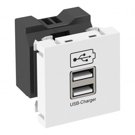 OBO BETTERMANN MTG-2UC2.1 RW1 MTG-2UC2.1 RW1 6105300 OBO BETTERMANN USB CHARGER