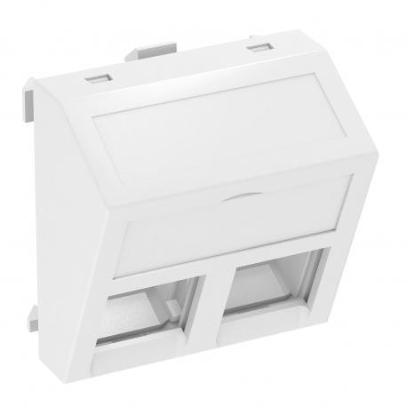 Obo-bettermann DTS-02C RW1 OBO BETTERMANN Data technology support f. 2 connection modules type C, 45x45mm, Pure whi..