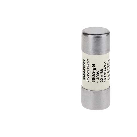 Siemens 3NW6217-1 SENTRON, cylindrical fuse link, 22x58 mm, 40 A, gG, Un AC: 690 V