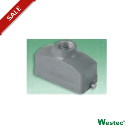 Westec 7806.6553.0 COVER WESTEC "GWconnect" S / VERTICAL PIVOT M20 2 "44.27"