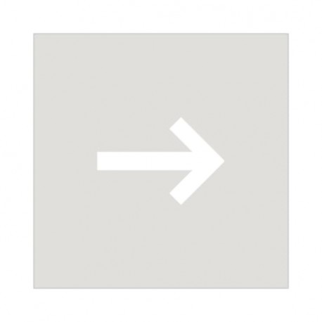 NIESSEN 2CLA858117A1001 2CLA858117A1001 8581.17 NIESSEN Tapa señalizador flecha