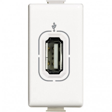 BTICINO AM4285 AM4285 BTCINO MX-BASE-DATA USB 1M WHITE