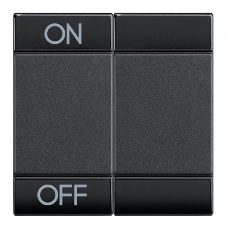BTICINO L4911M2AGN L4911M2AGN BTCINO LL-KEY ON OFF 2MOD ANTHRACITE