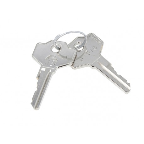 LOVATO ELECTRIC 8LM2TA170G504 8LM2TA170G504 LM2TA170G504 LOVATO SPARE KEY SET FOR G SERIES SELECTOR OR MUSHROOM-HEAD BUTTON