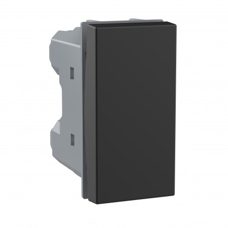 BTICINO RG4027N RG4027N BTCINO CL-CONM DOUBLE 16A 1M DARK