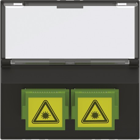 BTICINO RG4268SC RG4268SC BTCINO CL-BASE FO 2XSC/APC 2M DARK