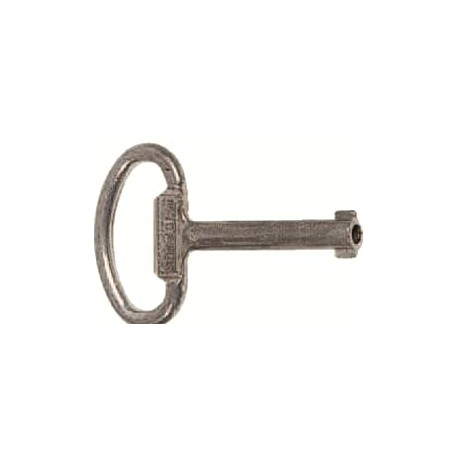 ABB 2CPX060661R9999 2CPX060661R9999 ZH161 ABB KEY 5MM TWO-WAY